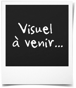 Βάζο Λουλουδιών Elho Μαύρο Πλαστική ύλη