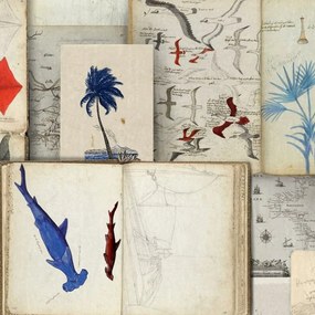 Ταπετσαρία Seaman'S Journal Wp20562 3*52X300Cm White-Red-Blue Mindthegap 52x300cm