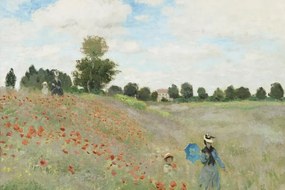 Αναπαραγωγή Wild Poppies, near Argenteuil (1873), Claude Monet