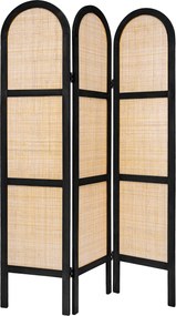 Παραβάν (120x1.5x170) A-S Rattan 178720A