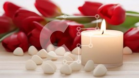 Intra Συλλεκτικό Ξύλινο Παζλ Plywood 4mm - Κερί, λευκοί κύβοι και κόκκινες τουλίπες Σε Ξύλινο Κουτί - Διαστάσεις Puzzle: 10x10 cm – 25 κομμάτια