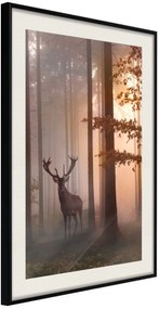 Αφίσα - Forest Seclusion - 40x60 - Μαύρο - Με πασπαρτού