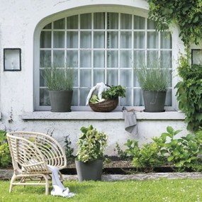 Πιάτο για τη Γλάστρα Deroma