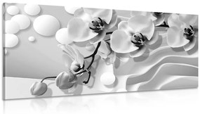 Εικόνα ασπρόμαυρης ορχιδέας σε αφηρημένο φόντο - 100x50
