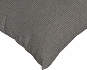 vidaXL Μαξιλάρι Καναπέ 2 pcs Ανοιχτό γκρι 50 x 30 cm