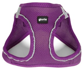 Λουρί Σκύλου Gloria 41,4-43 cm Μωβ S 29,4-32,6 cm