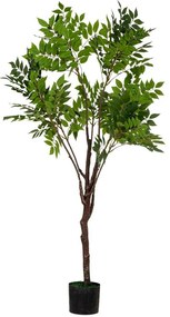 Φυτό Ακακία Real Touch 89791 140cm Green Πλαστικό