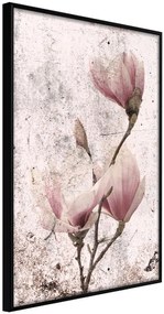 Αφίσα - Queen of Spring Flowers II - 30x45 - Μαύρο - Χωρίς πασπαρτού