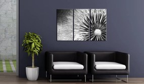 Πίνακας - dandelion (black and white) 120x80