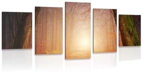 Δάσος με 5 μέρη εικόνα σε νεράιδα χρώματα - 100x50