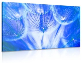 Εικόνα πικραλίδα σε μπλε - 60x40