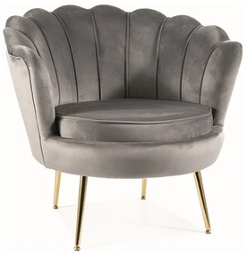 FOTEL CAMELLIA 1 VELVET SZARY BLUVEL 14/ZŁOTY DIOMMI-80-3210