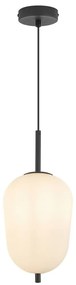 Φωτιστικό Κρεμαστό Braytron BV01-00105 Μαύρο Ματ (Black Mat)