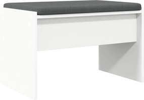vidaXL Παγκάκι Χαλωρίου με μαξιλάρι Λευκό 63 x 38 x 40 εκ