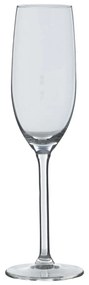 Ποτήρι Σαμπάνιας Κολωνάτο 160ml S-D Orpea 154791