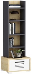 Βιβλιοθήκη Dawn 475OLV2111 35x25,6x152,2cm Oak-Anthracite