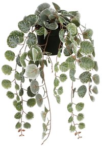 Τεχνητό Φυτό Σε Γλάστρα Κρεμαστό (Φ12x46) Edelman Ceropegia Green 1151040