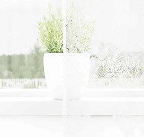 vidaXL Κουρτίνες με κουρτίνες Λευκό 500x100cm Πολυεστέρας
