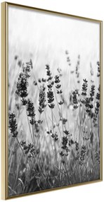 Αφίσα - Shadow of Meadow - 30x45 - Χρυσό - Χωρίς πασπαρτού