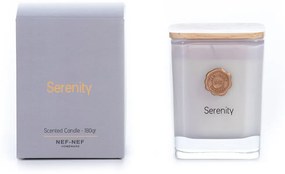 Αρωματικό Κερί Serenity 180gr Grey Nef-Nef Homeware