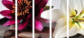 5 μέρη εικόνα λουλούδια σε ένα μπολ με πέτρες Zen - 100x50