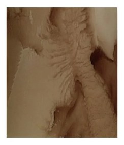 Βάζο ArteLibre Καφέ Ανακυκλωμένο Γυαλί 18x18x120cm