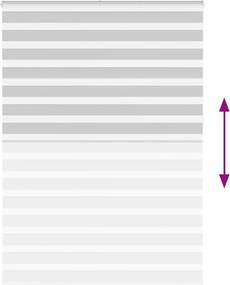 vidaXL Ζέβρα τυφλή Ανοιχτό Γκρι Πλάτος υφάσματος 160,9 εκ. Πολυεστέρας