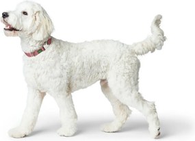 Κολλάρο Σκύλου Hunter Κόκκινο 40-55 cm L