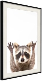 Αφίσα - Funny Racoon - 20x30 - Μαύρο - Με πασπαρτού