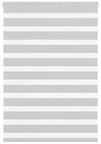 vidaXL Ζέβρα τυφλή Ανοιχτό Γκρι Πλάτος υφάσματος 105,9 εκ. Πολυεστέρας