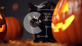 Intra Συλλεκτικό Ξύλινο Παζλ Plywood 4mm - Μαύρη γάτα αποκριάτικη διακόσμηση με κολοκύθες Σε Ξύλινο Κουτί - Διαστάσεις: 10x10 cm – 25 κομμάτια