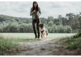 Λουρί Σκύλου Hunter Καφέ 2 m Ρυθμιζόμενο Δέρμα