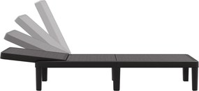 vidaXL Ξαπλώστρα Ρυθμιζόμενη σε 4 Ύψη 155,5x57x28 εκ. Πολυπροπυλένιο