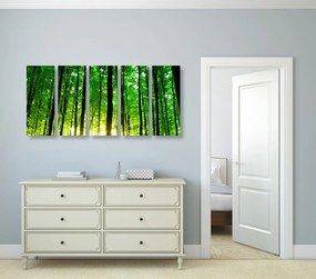 Εικόνα 5 μερών πράσινο δάσος - 200x100