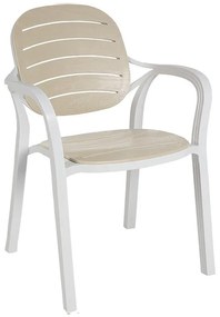 Καρέκλα - Πολυθρόνα Gentle PP λευκό-cappucino 57.5x58x84 εκ.
