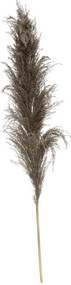 ΤΕΧΝΗΤΆ ΦΥΤΆ BROWN PAMPA X3 H110 179282B