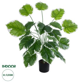 GloboStar® Artificial Garden WHITE HOSTA 20920 Διακοσμητικό Φυτό Λευκή Χόστα Υ80cm