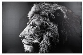 Wall art canvas with frame Lionner mdf 118x3x78cm 118x3x78 εκ.