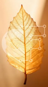 Σετ των 2 Intra Συλλεκτικό Ξύλινο Παζλ Plywood 4mm - Φωτιζόμενο φύλλο Σε Ξύλινο Κουτί - Διαστάσεις: 10x10 cm – 25 κομμάτια