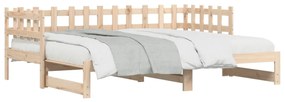 vidaXL Καναπές Κρεβάτι Συρόμενος 2x(80x200) εκ. από Μασίφ Ξύλο Πεύκου