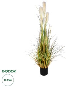 GloboStar® Artificial Garden PAMPAS GRASS 20108 Τεχνητό Διακοσμητικό Φυτό Γρασίδι της Πάμπας Υ150cm