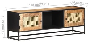 vidaXL Έπιπλο Τηλεόρασης 120x30x40 εκ. Ξύλο Μάνγκο/Φυσικό Ζαχαροκάλαμο