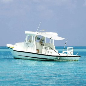 vidaXL Επέκταση Σκιάστρου Σχήμα Τ Λευκή 174x205x(115-194) εκ.