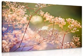 Εικόνα νεκρή φύση των λουλουδιών - 120x80