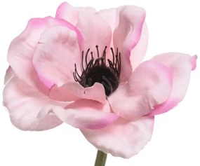 Beauty Home ΑΝΑΕΜΩΝΗ 57 CM