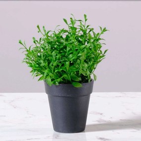 Τεχνητό Φυτό Αρωματικό 9650-6 15x19cm Green Supergreens Πολυέστερ