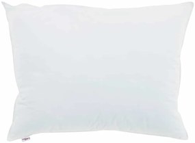 vidaXL Μαξιλάρι με μαξιλάρι 2 pcs Λευκό 70 x 90 cm Βαμβάκι