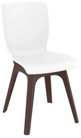 Siesta   Mio/PP* Chair Brown-white  metax-01-00-2512 διάστ.56.0000 x 44.0000 x 84.0000