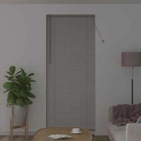 vidaXL Βενετσιάνικες Ρόδες Ασημί 220 x 95 εκ Αλουμίνιο