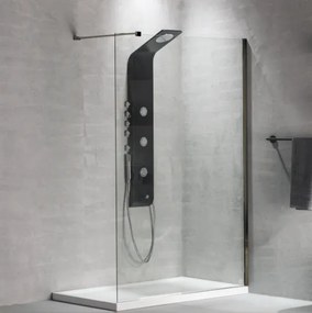 Devon Iwis Walk-in Inox 304 Διαχωριστικό Κρύσταλλο Ντουζιέρας Με Inox Brushed Βραχίονα 77-79 εκ. - ύψος 200 εκ